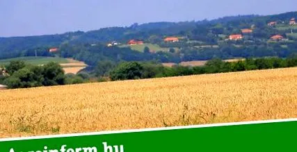 Лечение паразити лиана