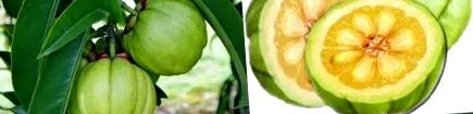 отслабване garcinia-arany