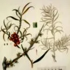 naturportal naturportal