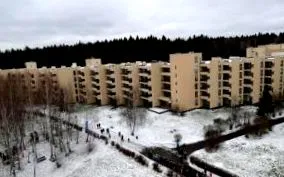 ulei