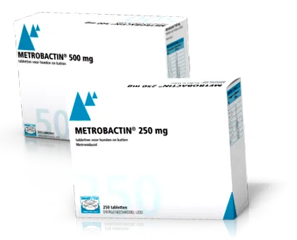 giardia metronidazole