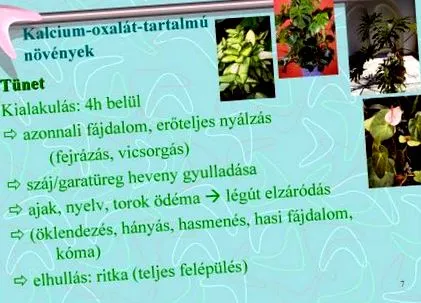странични странични