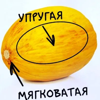 дині стиглі