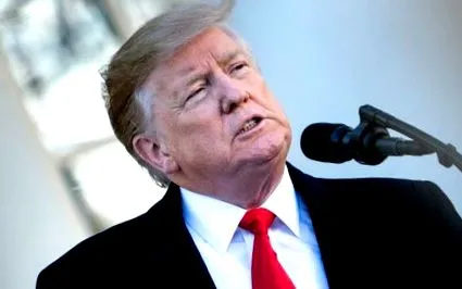 доналд доклад