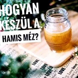 можете направите прави