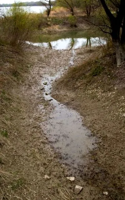 води Дунаю відкладають осад
