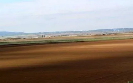 milioane