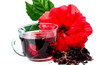arderea hibiscus