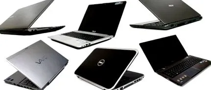 șase notebook-uri