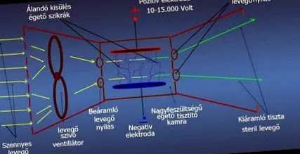 глистів людини глистів людини