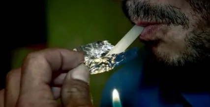 detoxic глисти