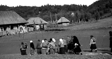 trianon индекс