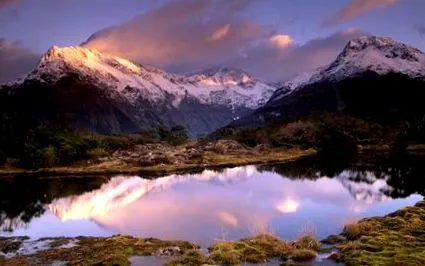 zealand zealand