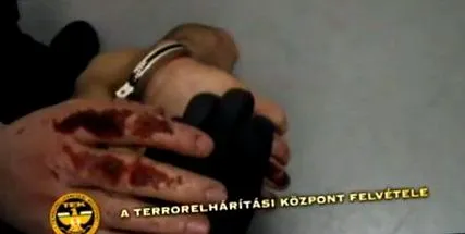 borsonline крістофа