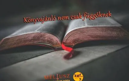 книга мелиуш