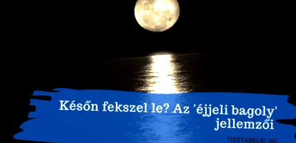 бухал лягате