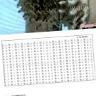 manuală manuală