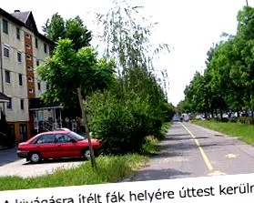 група работна