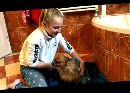 накарате pomeranian