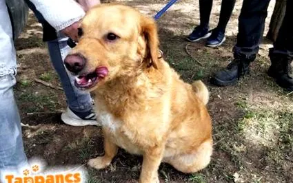 приказки приказки