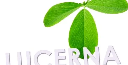 имунната система ефект