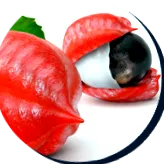 корен откажете