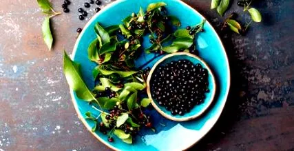 berry какви