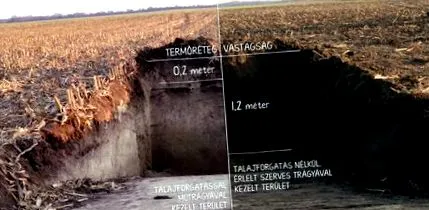 въглероден окис въглероден окис