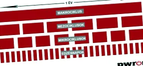 termeni microciclu