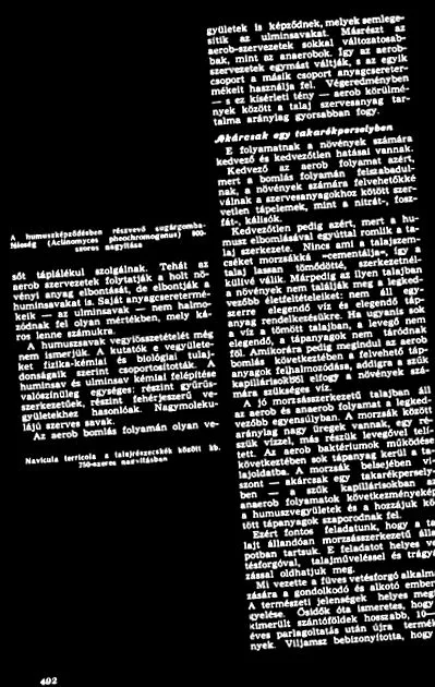 speciilor mokhovik