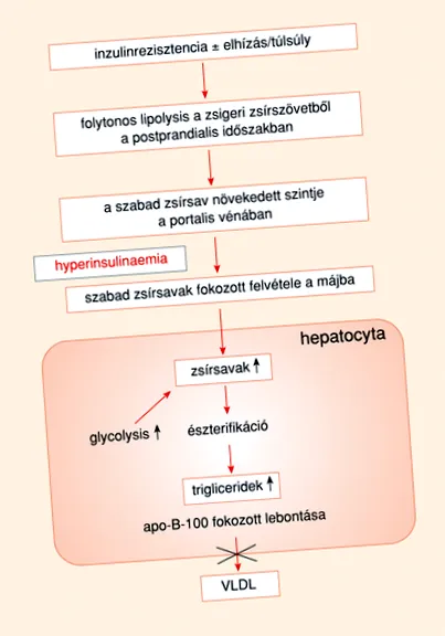 бързо бързо