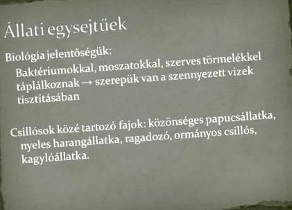причинява какво