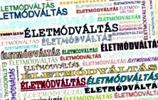 мога мога