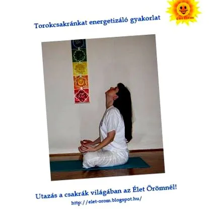 чакра женска
