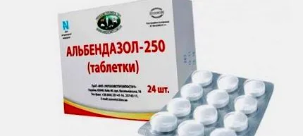 донеса