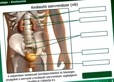 човешкото лечение