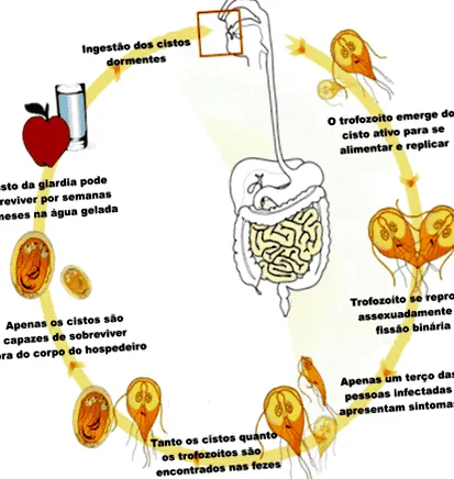 хелминти giardia