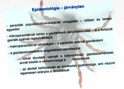 постоянни паразити постоянни паразити