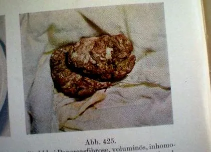 които могат паразит