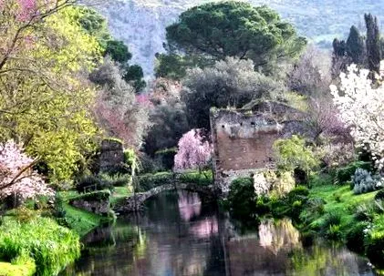 contatti giardini