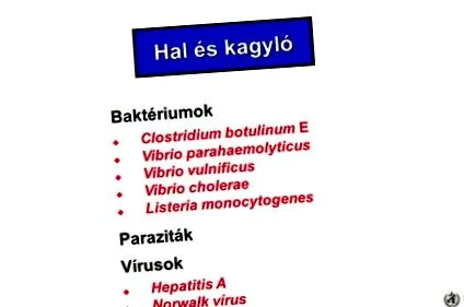 профілактика лікування
