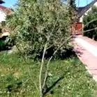 индекс индекс