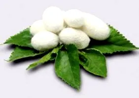 ензим serrapeptase