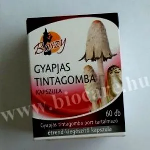 мигновено Будапеща Páskomliget