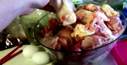аскаридозата лямблия