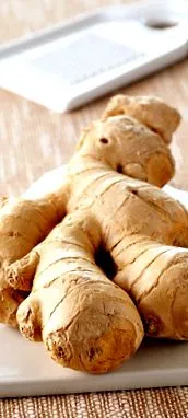condimente delicioase