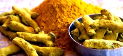 health nutrition