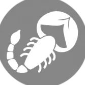 скорпион зодия