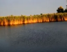 през есента сезона