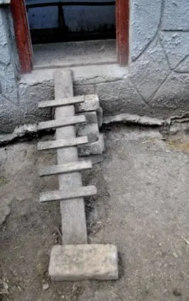 кокошки поддържане
